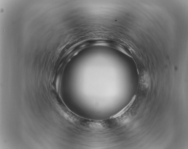 X0000089700572200706211321