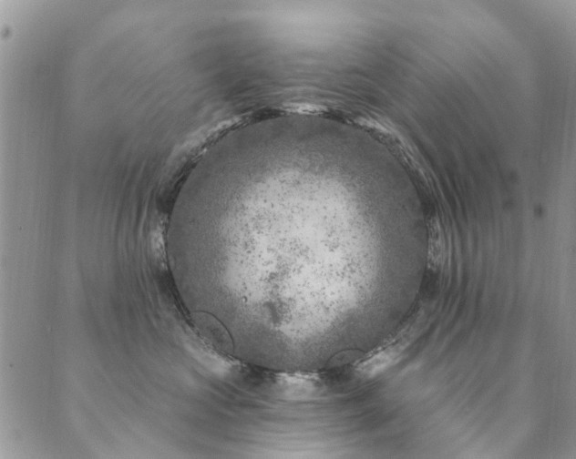 X0000089700573200706211321