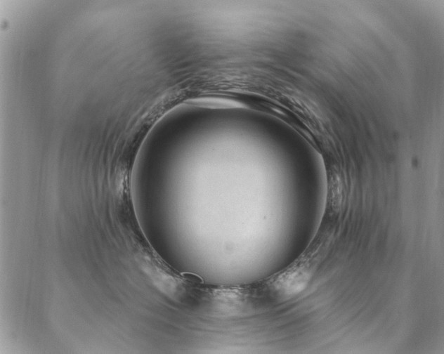 X0000089700574200706211321