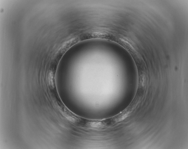 X0000089700575200706211321