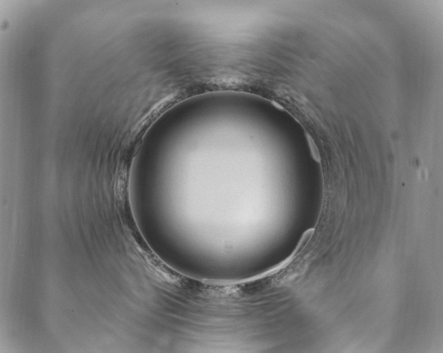 X0000089700576200706211321