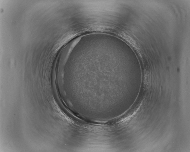 X0000089700577200706211320