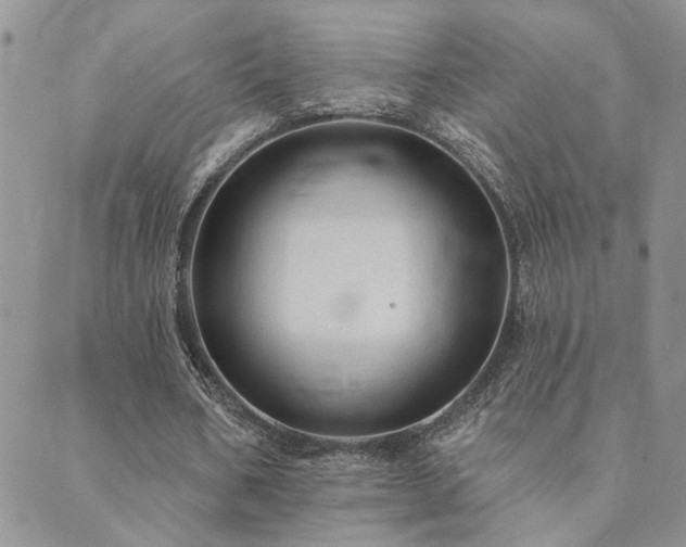 X0000089700578200706211320