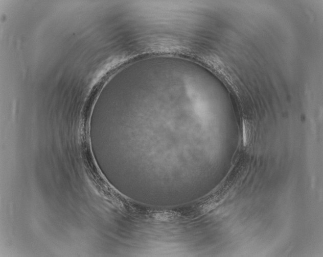 X0000089700579200706211320