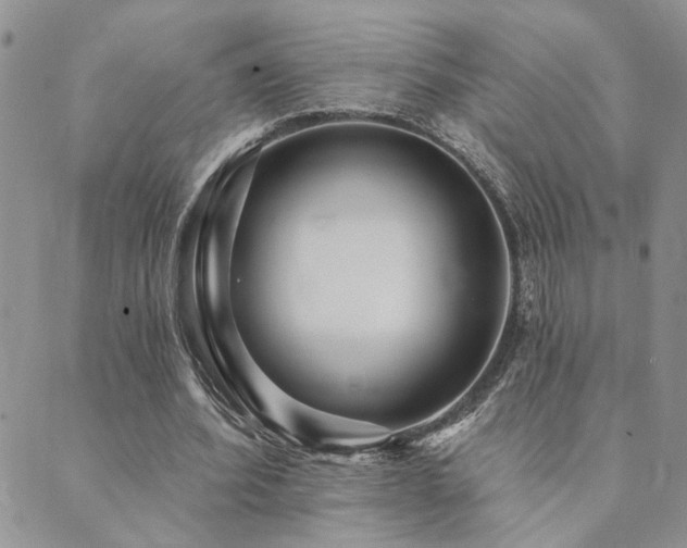 X0000089700580200706211320