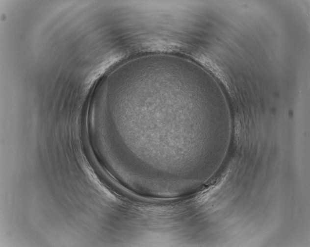 X0000089700581200706211320