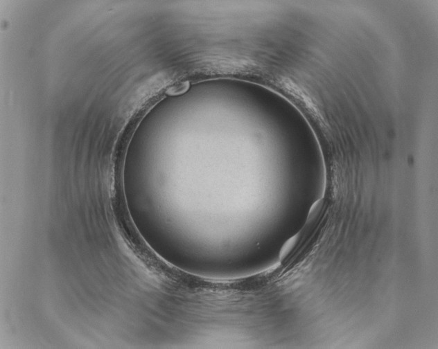 X0000089700582200706211320