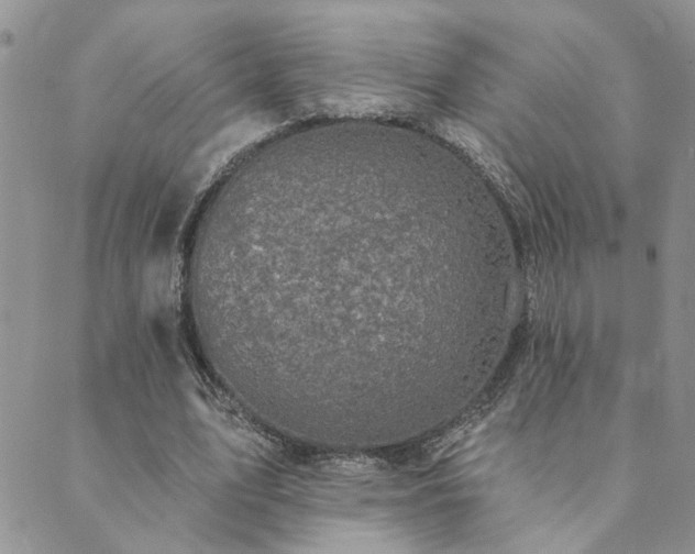 X0000089700583200706211320