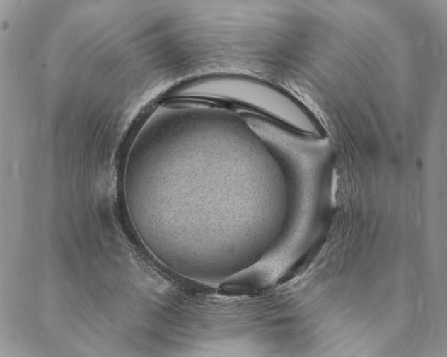 X0000089700584200706211320