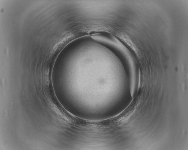 X0000089700585200706211320