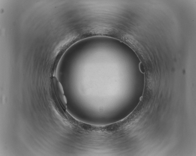 X0000089700586200706211320