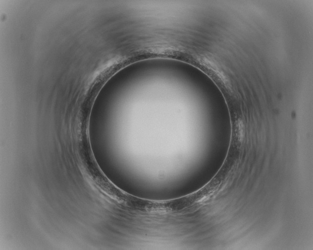 X0000089700587200706211320