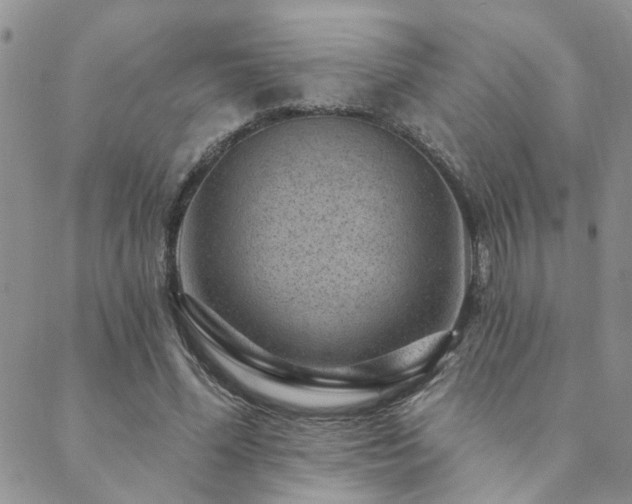 X0000089700588200706211320