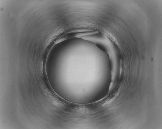 X0000089700589200706211320