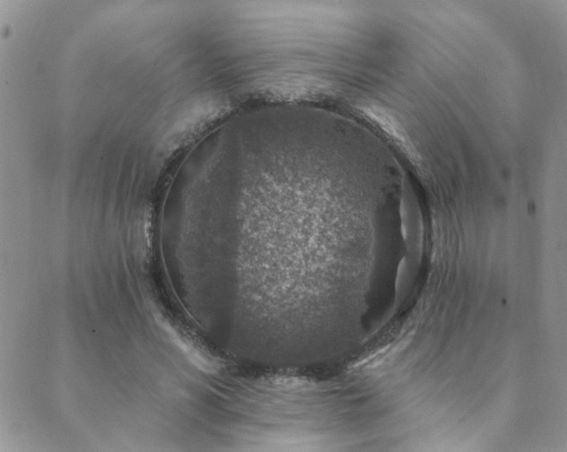 X0000089700590200706211320