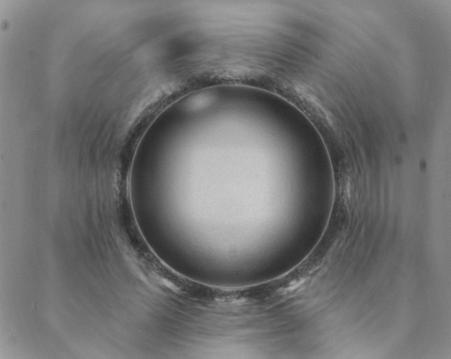 X0000089700591200706211320