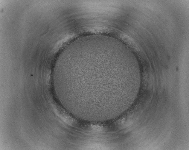 X0000089700592200706211320