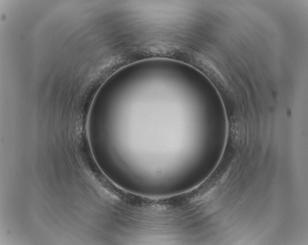 X0000089700593200706211320