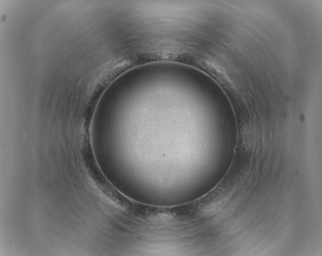 X0000089700594200706211320