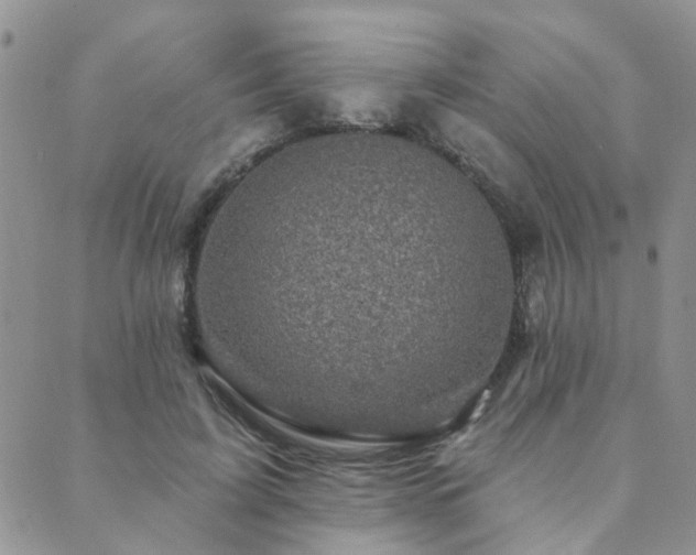 X0000089700595200706211320