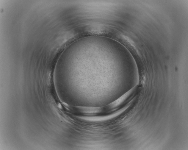 X0000089700596200706211320