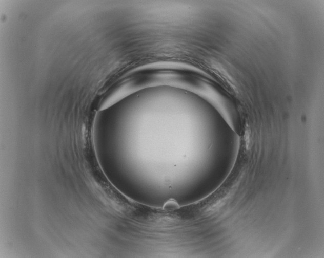 X0000089700597200706211320