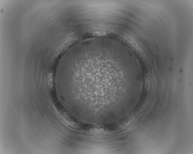 X0000089700598200706211320