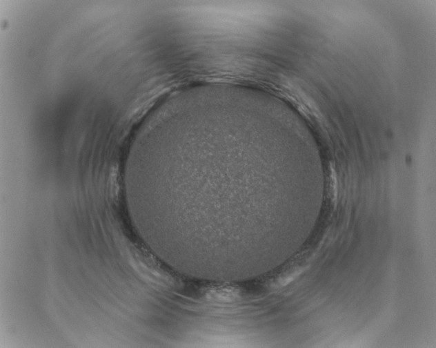 X0000089700599200706211320