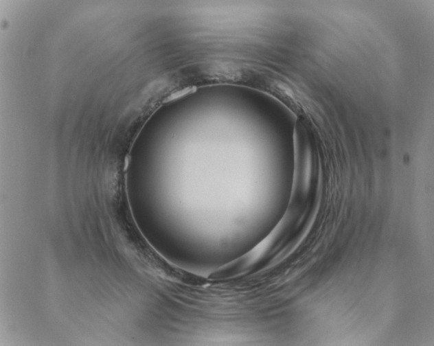 X0000089700600200706211320