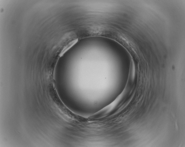 X0000089700601200706211320