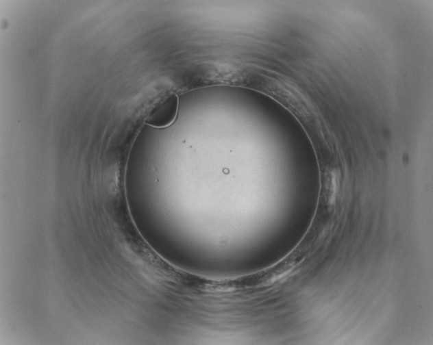 X0000089700602200706211320