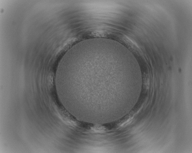 X0000089700603200706211320