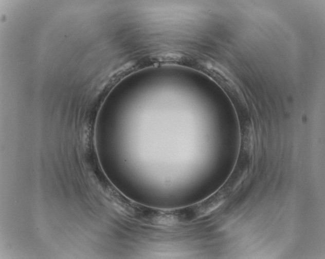 X0000089700604200706211320