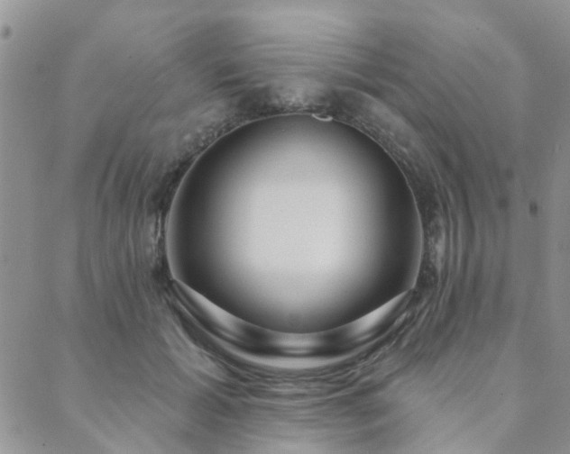 X0000089700605200706211320