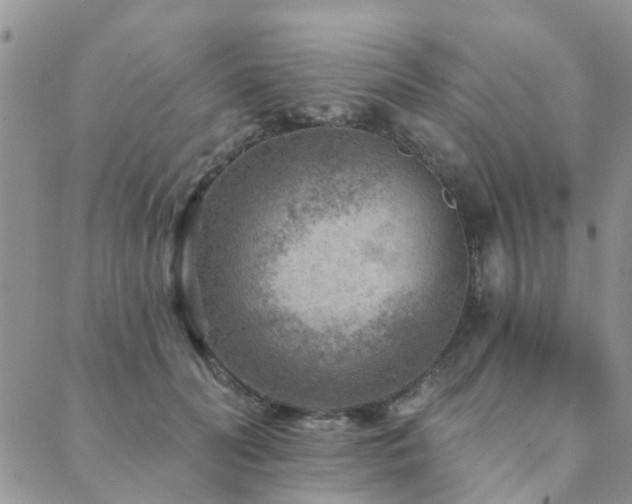 X0000089700606200706211320