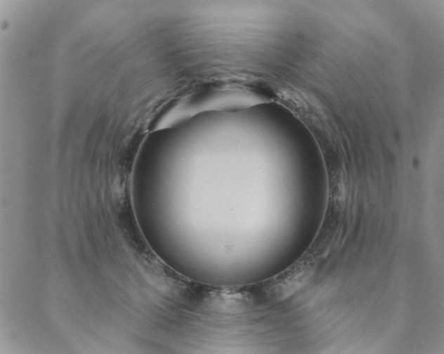 X0000089700607200706211320