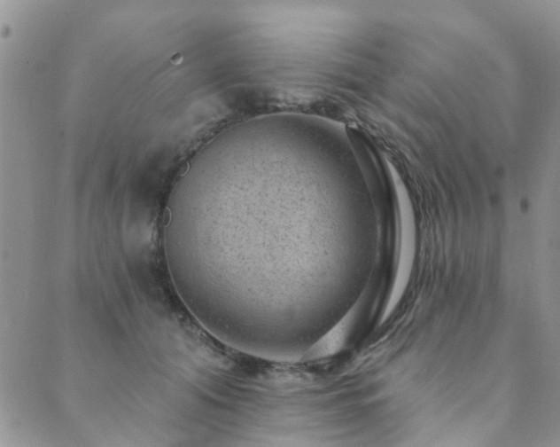 X0000089700608200706211320