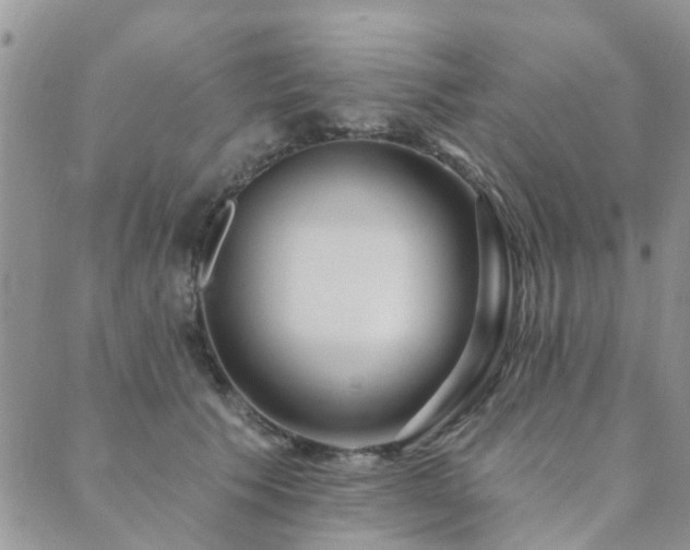 X0000089700609200706211320