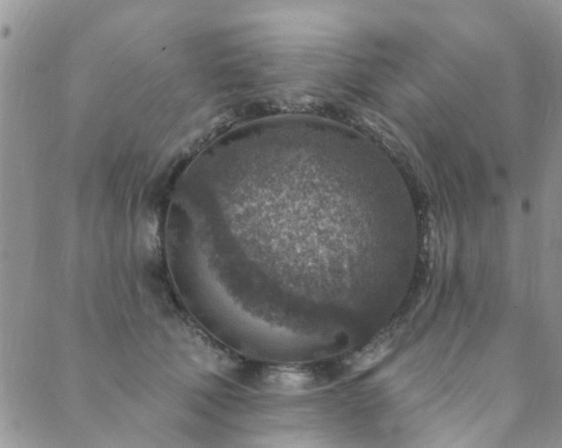 X0000089700610200706211320