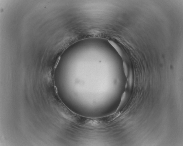 X0000089700611200706211320