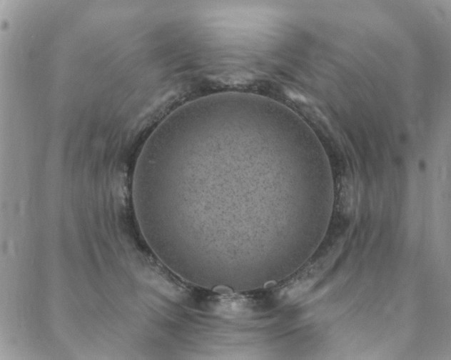 X0000089700612200706211320