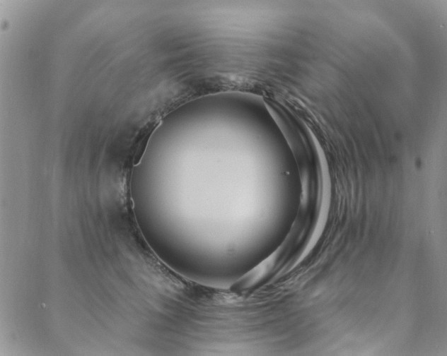 X0000089700613200706211320