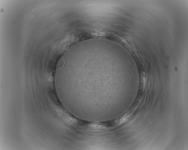 X0000089700614200706211320