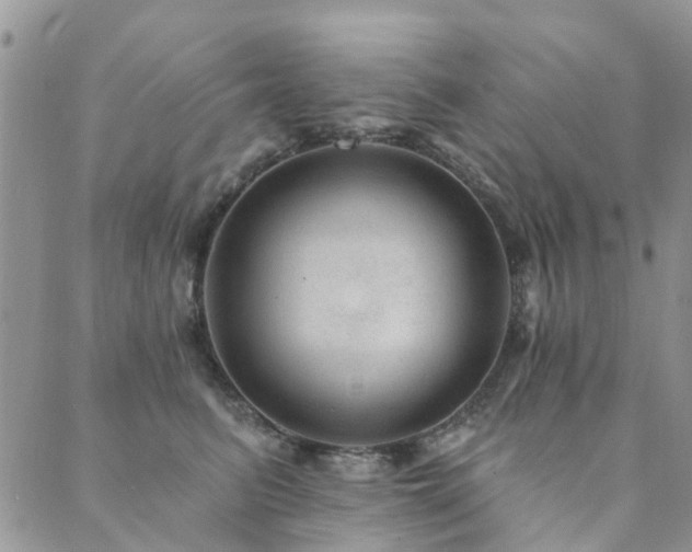 X0000089700615200706211320