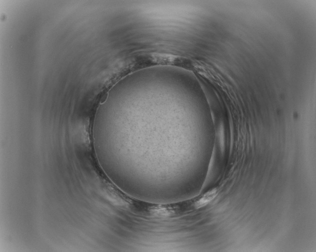 X0000089700616200706211320