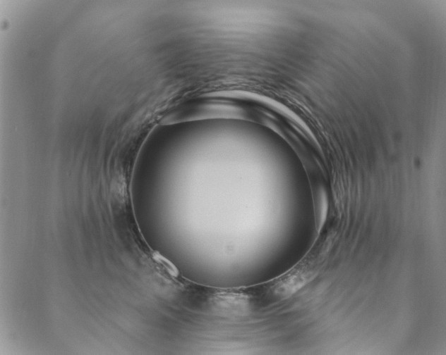 X0000089700617200706211320