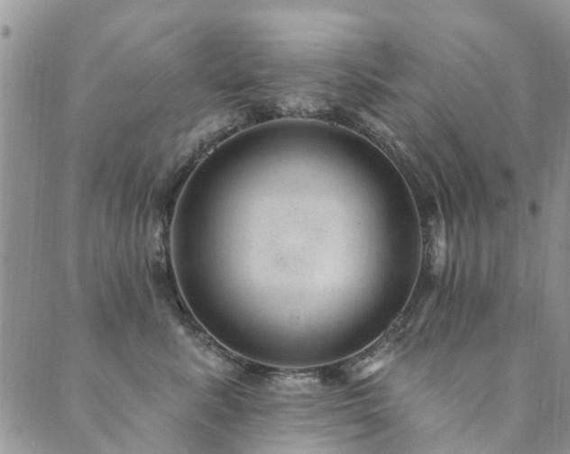 X0000089700619200706211320