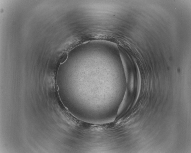 X0000089700620200706211320