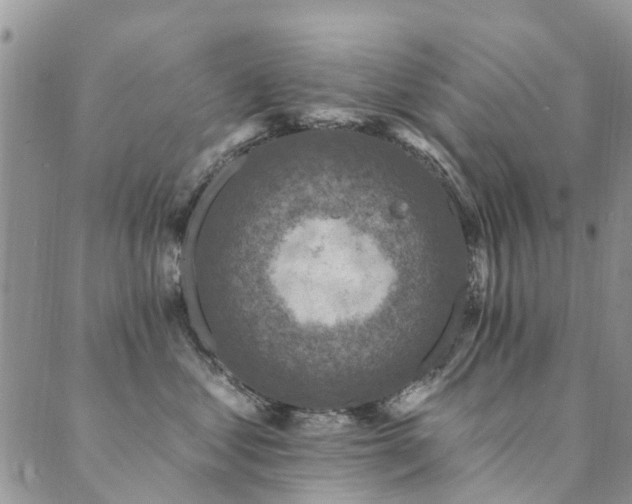 X0000089700621200706211320