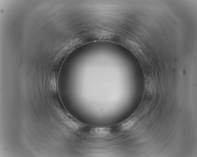 X0000089700622200706211320